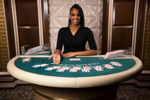 Blackjack Classic 13 game icon