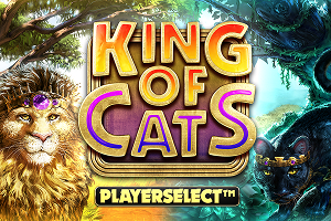 King of Cats game icon