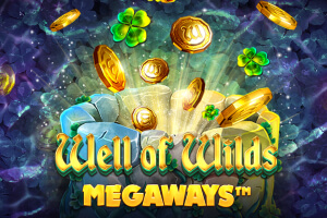 Well of Wilds Megaways game icon