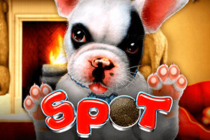 Spot game icon