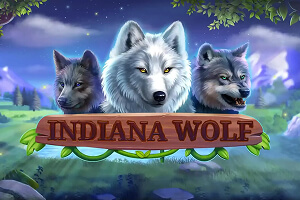 Indiana Wolf game icon