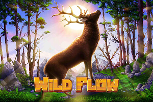 Wild Flow game icon