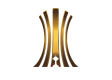 Copa Libertadores